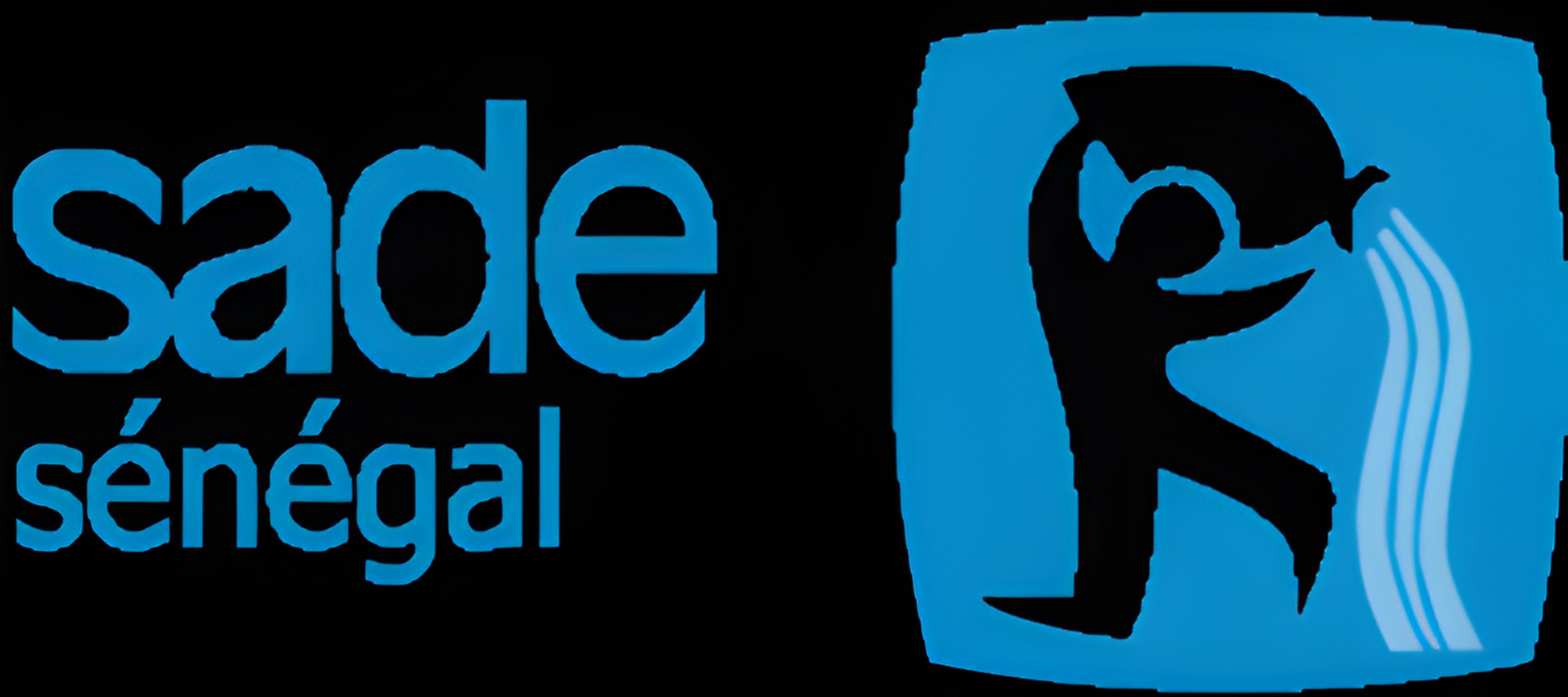 Logo SADE senegal (1)